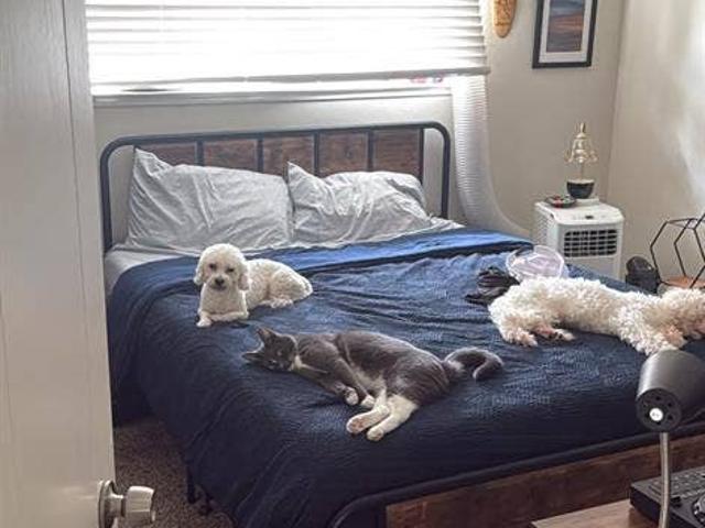 Room for rent in Los Gatos, California