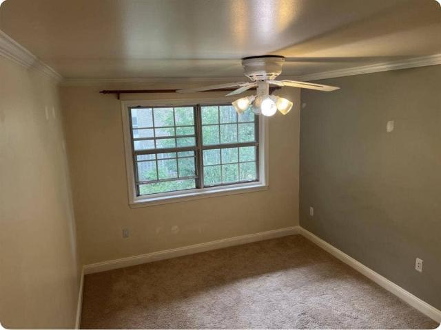 Room for rent in Virginia
