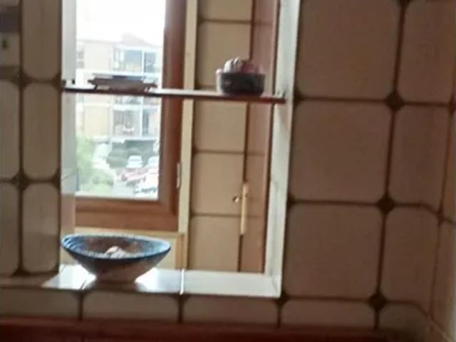 Stanza in affitto a Astroni, Napola