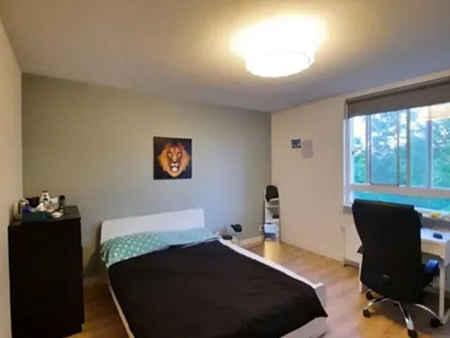 Kamer te huur in Prinsenland, Rotterdam