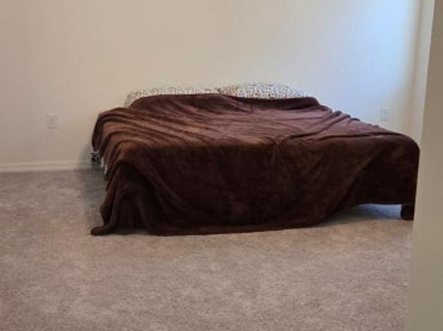 Room for rent in Florida