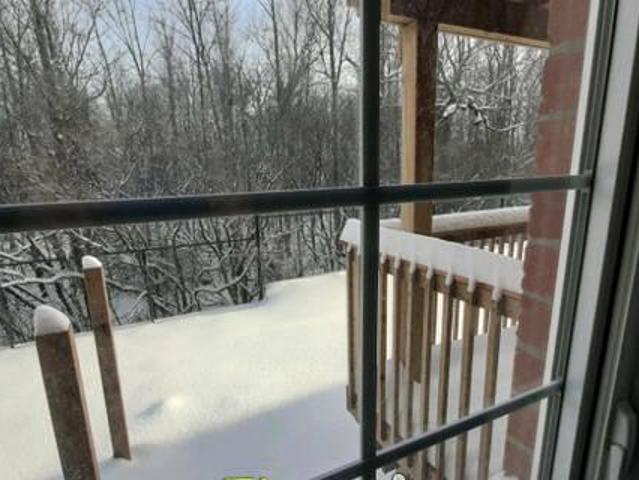 House for rent in Guelph