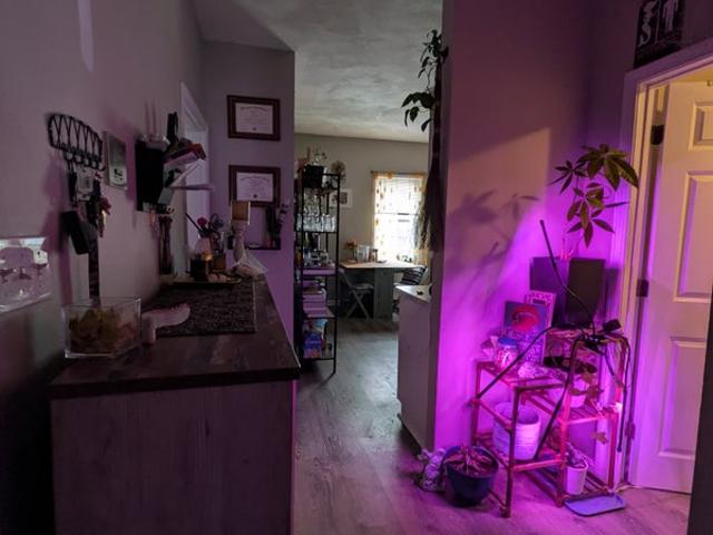 Room for rent in Malden, Massachusetts