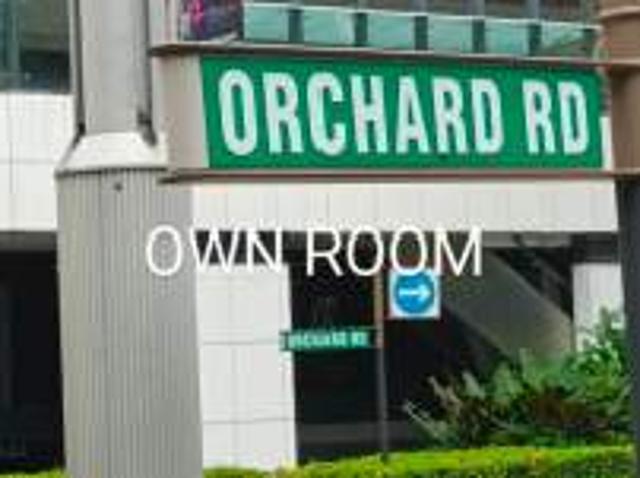 Room for rent