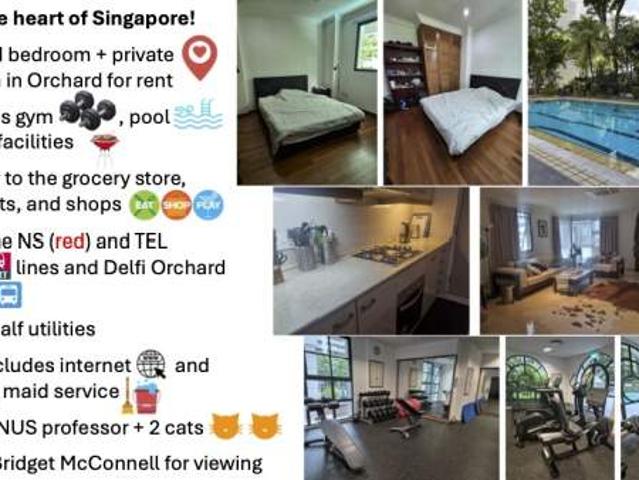 Room for rent in Newton, 11 Central, Newton