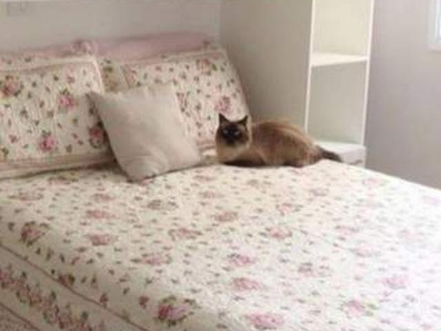 Room for rent in 19 North East, Hougang