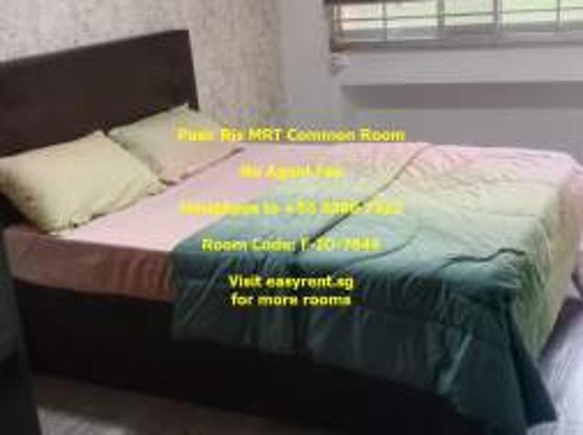 Room for rent in 19 North East, Hougang