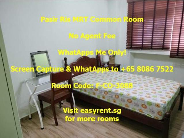 Room for rent