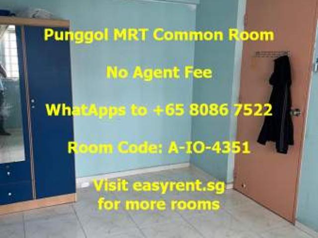 Room for rent in Punggol, 19 North East, Hougang