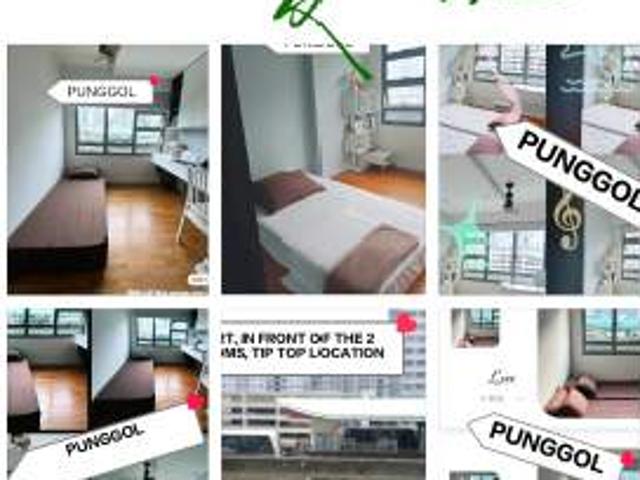Room for rent in Punggol, 19 North East, Hougang