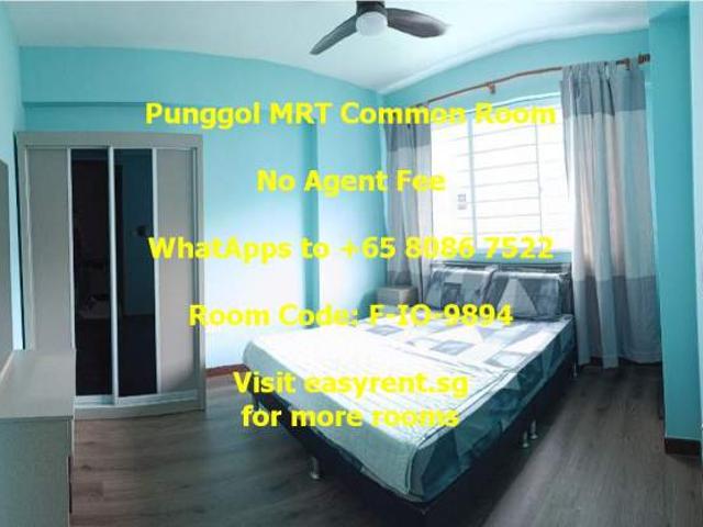 Room for rent in Punggol, 19 North East, Hougang