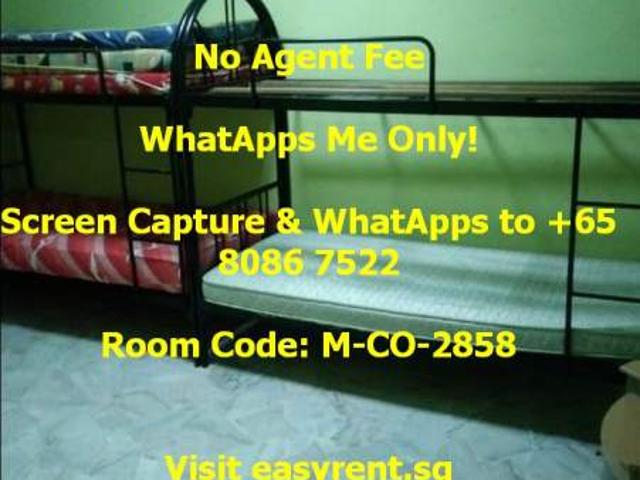 Room for rent in 19 North East, Hougang