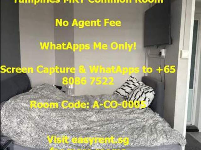 Room for rent