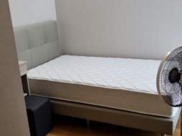 Room for rent in 19 North East, Hougang