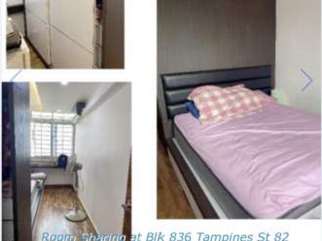Room for rent