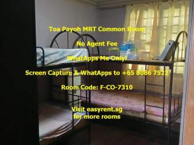 Room for rent