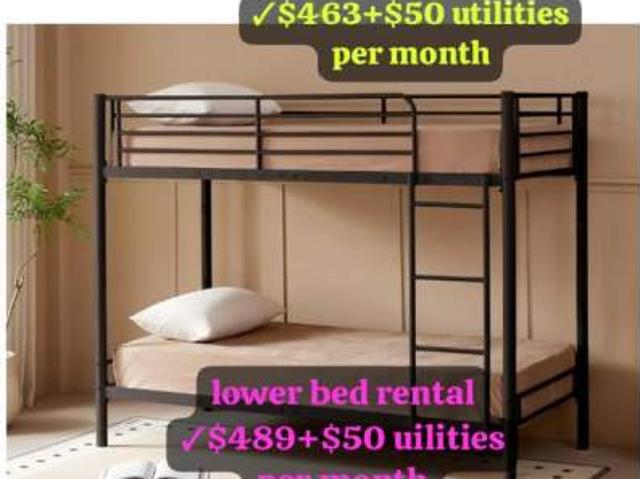Room for rent