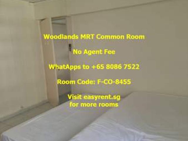 Room for rent in Woodlands, 25 Far North