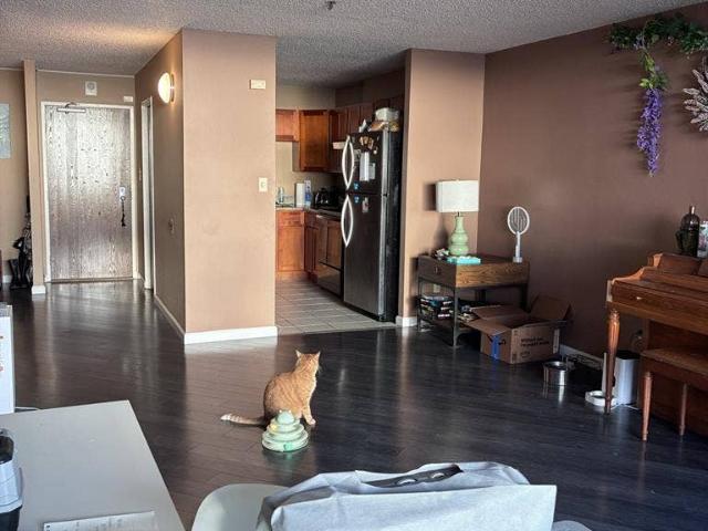 Room for rent in Albany, California