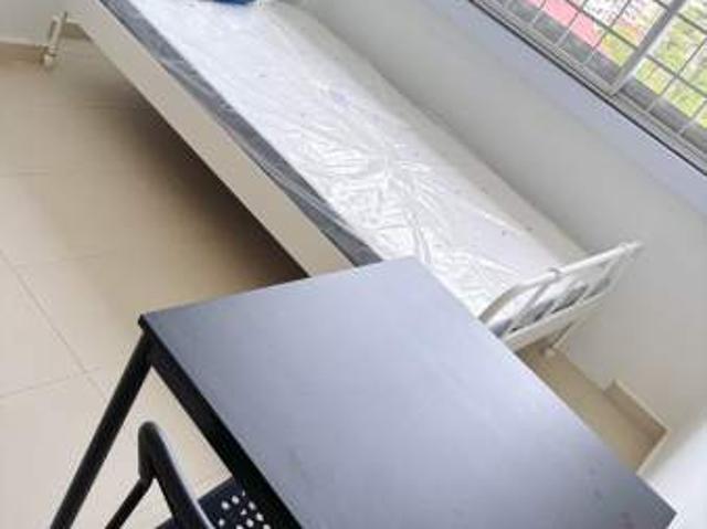 Room for rent