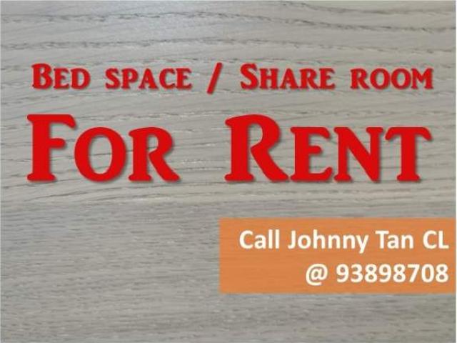 Room for rent