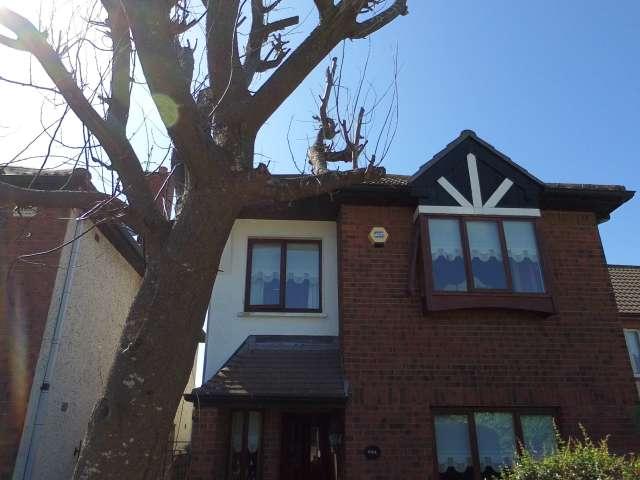 Room to rent in Dublin