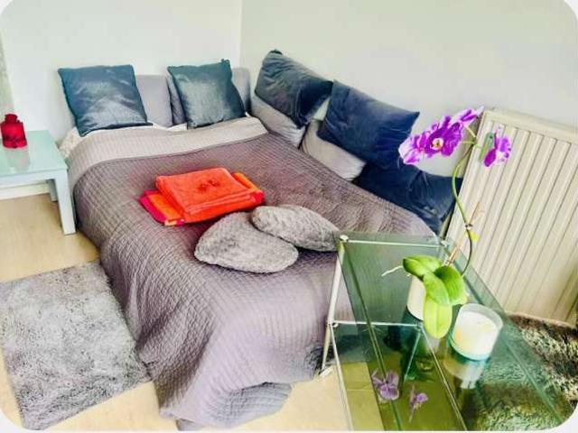 Kamer location à Sint-pieters-woluwe, Bruxelles