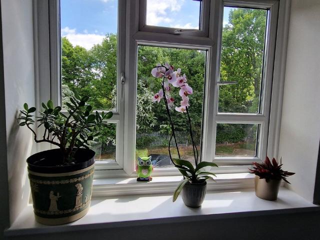 Room for rent in Cat Hill, Isle Of Man