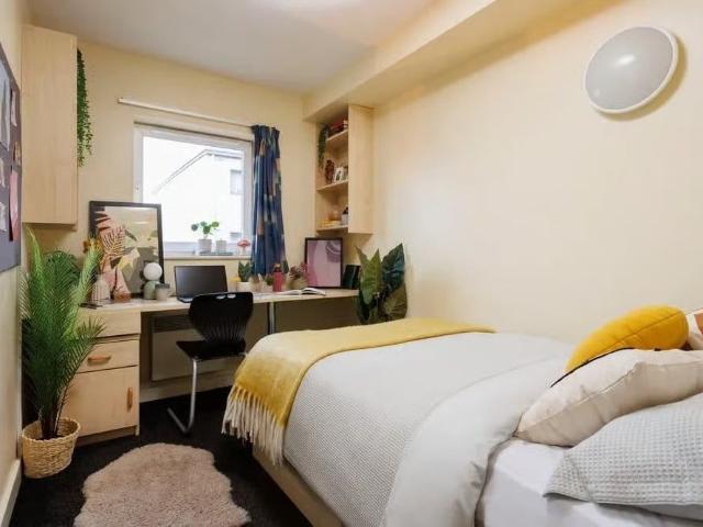 Room for rent in The Meadows, Haddon
