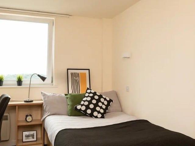 Room for rent in Camp Field, Leeds