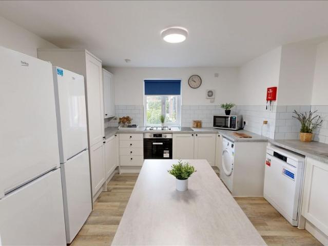 Room for rent in Lenton Abbey, Haddon