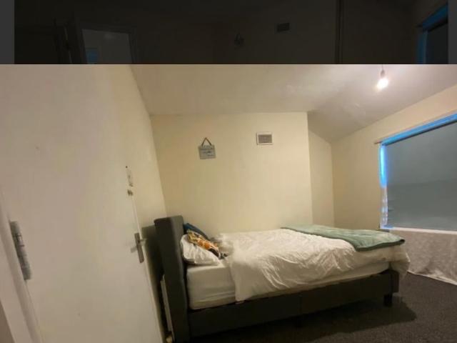 Room for rent in Lenton Abbey, Haddon
