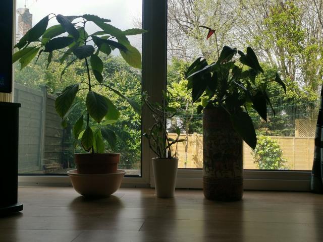 Room for rent in West Yorkshire