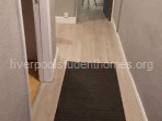 Room for rent in Kensington, Calderstones