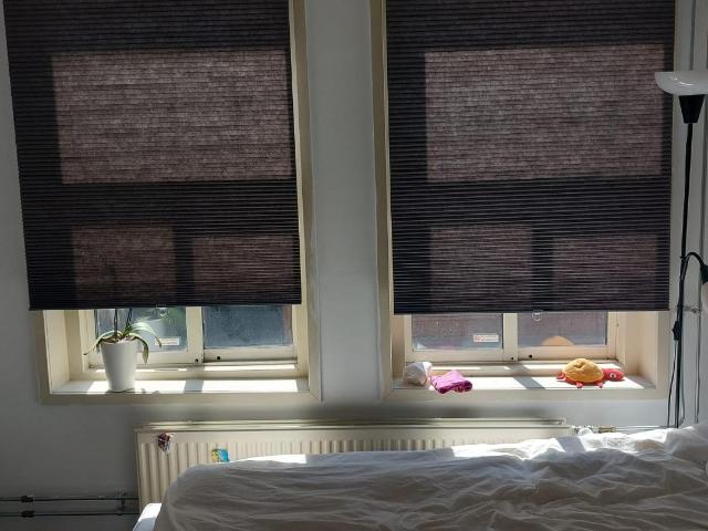 Kamer te huur in Schellingwoude, Amsterdam