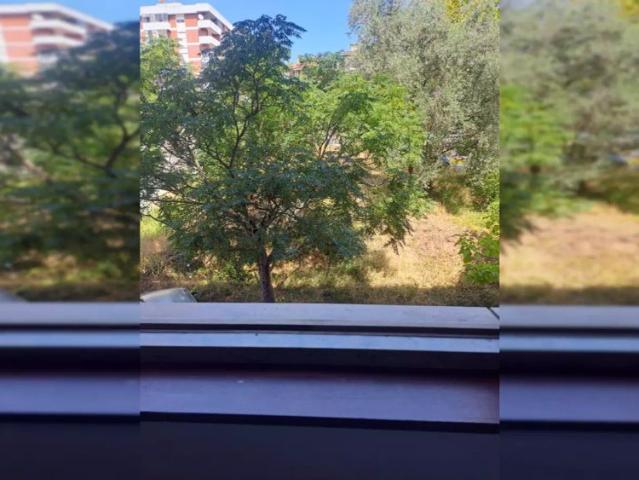 Quarto alugar em Coimbra (Sé Nova, Santa Cruz, Almedina e São Bartolomeu), Coimbra
