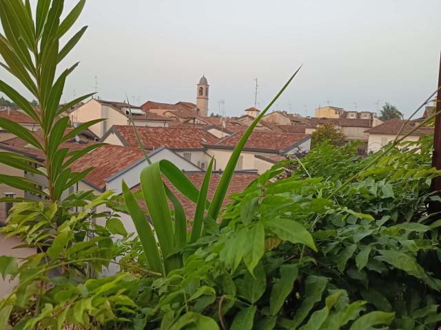 Stanza in affitto a Borgo Ticino, Pavia