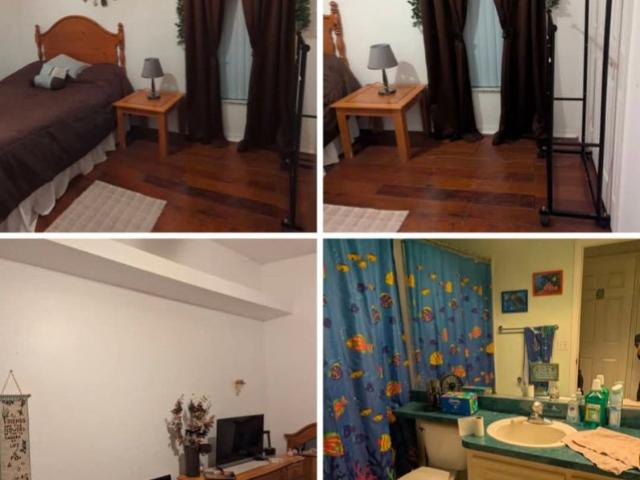 Room for rent in Tampa, Pasco County