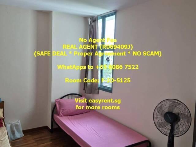 Room for rent