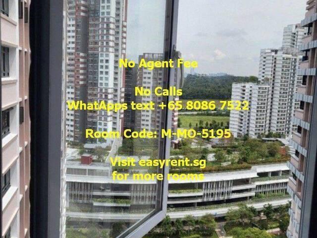 Room for rent