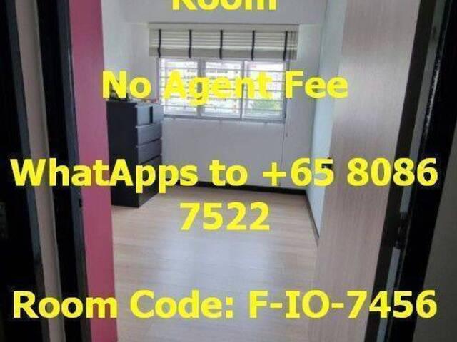 Room for rent