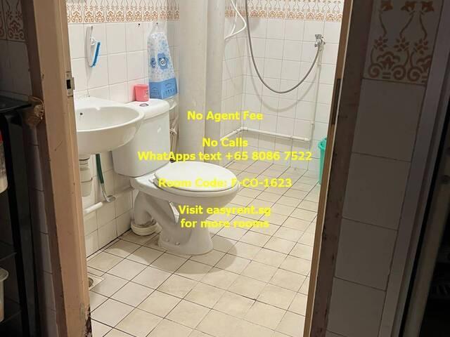 Room for rent