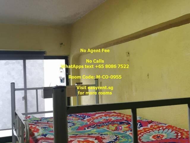 Room for rent