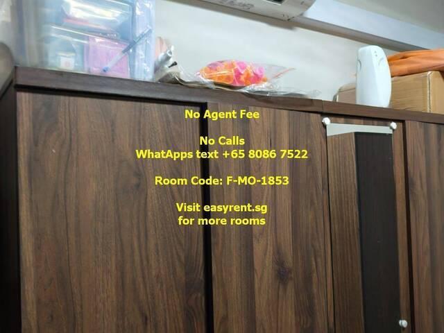 Room for rent