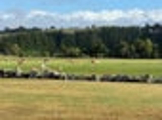 Land for sale in Levels, Canterbury