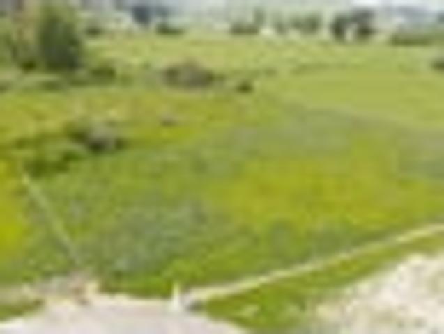 Land for sale in Woodville, Tararua District