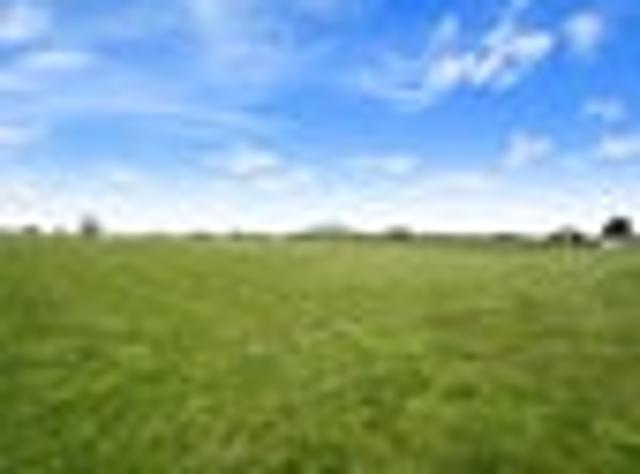 Land for sale in Pirongia, Waikato