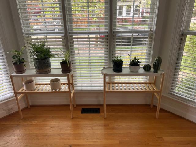 Room for rent in Virginia