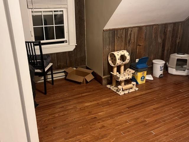 Room for rent in Deering Highlands, Portland