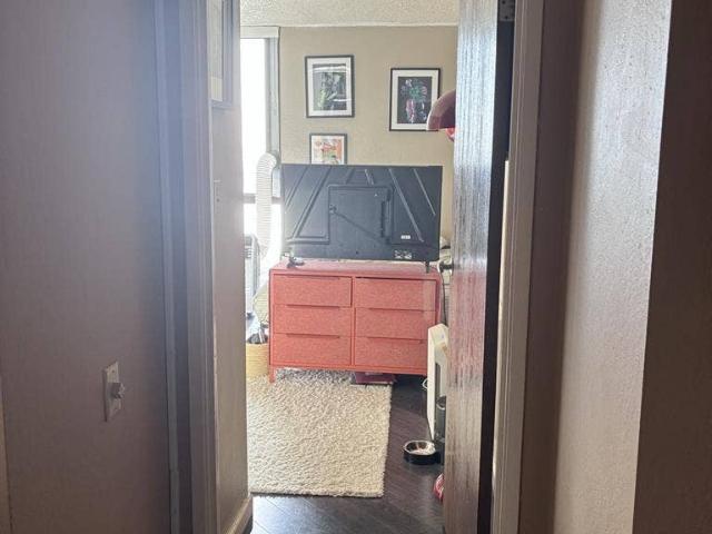 Room for rent in Albany, California
